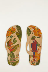 Farm Ararinhas Havaianas Sandals - FARM Rio MULTI